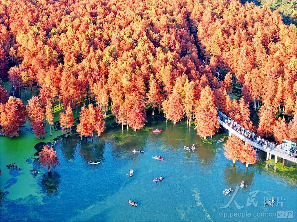9月周日活动价：秋韵临安——太湖源赏秋、红叶指南村、青山湖水上森林（含游船）二日（含1正餐，住网评5钻杭州临安雷迪森酒店）